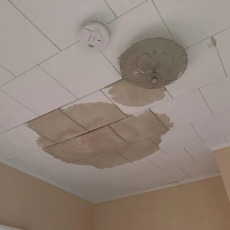 Ceiling Water Damage Repair in Oologah, OK